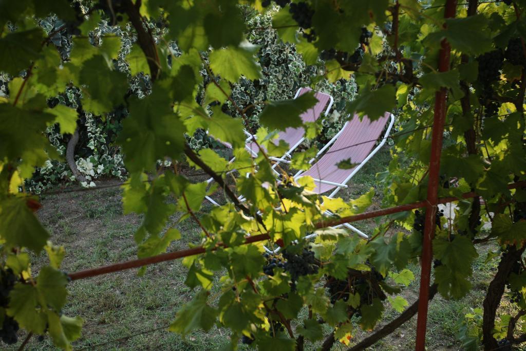 Kucica Ljubcek Villa Privlaka  Phòng bức ảnh